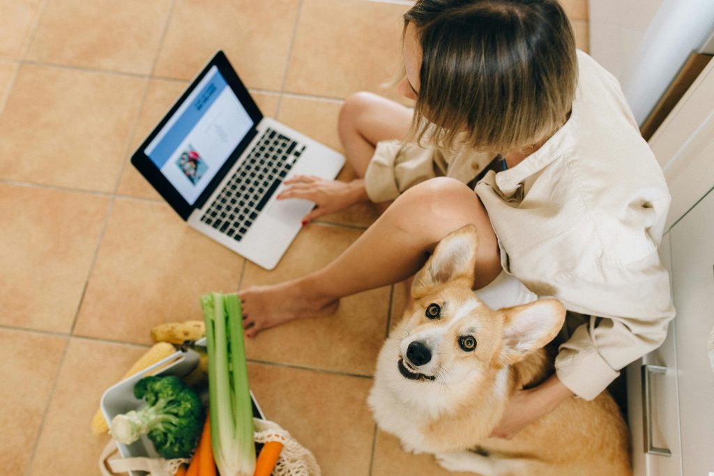 Best Homemade Dog Food Recipes Easy, Healthy and Safe Options for Your Dog