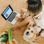 Best Homemade Dog Food Recipes Easy, Healthy and Safe Options for Your Dog