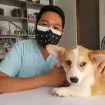 Pet Emergency Signs: When You Must Take Your Dog or Cat to the Vet Immediately