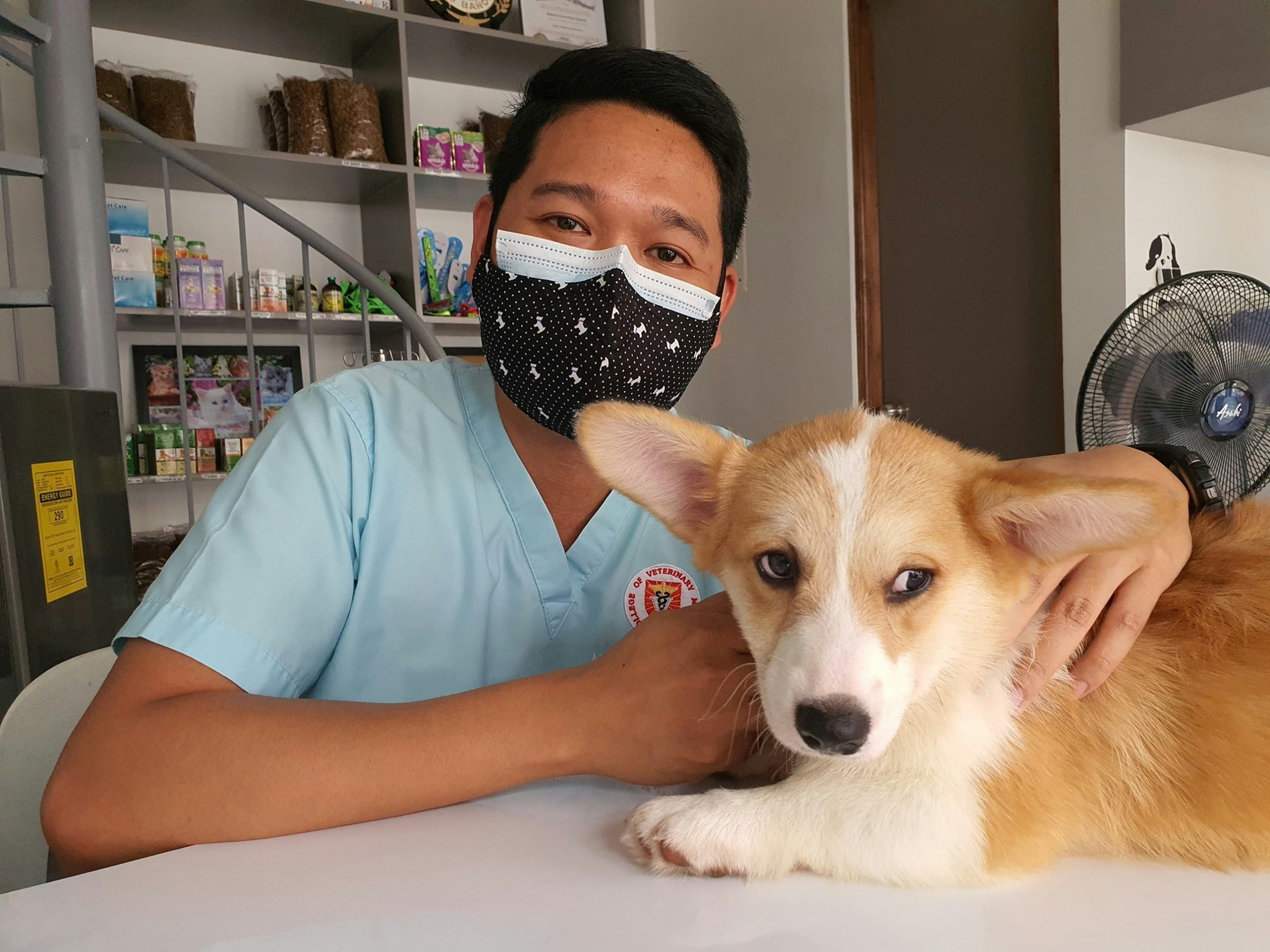 Pet Emergency Signs When You Must Take Your Dog or Cat to the Vet Immediately